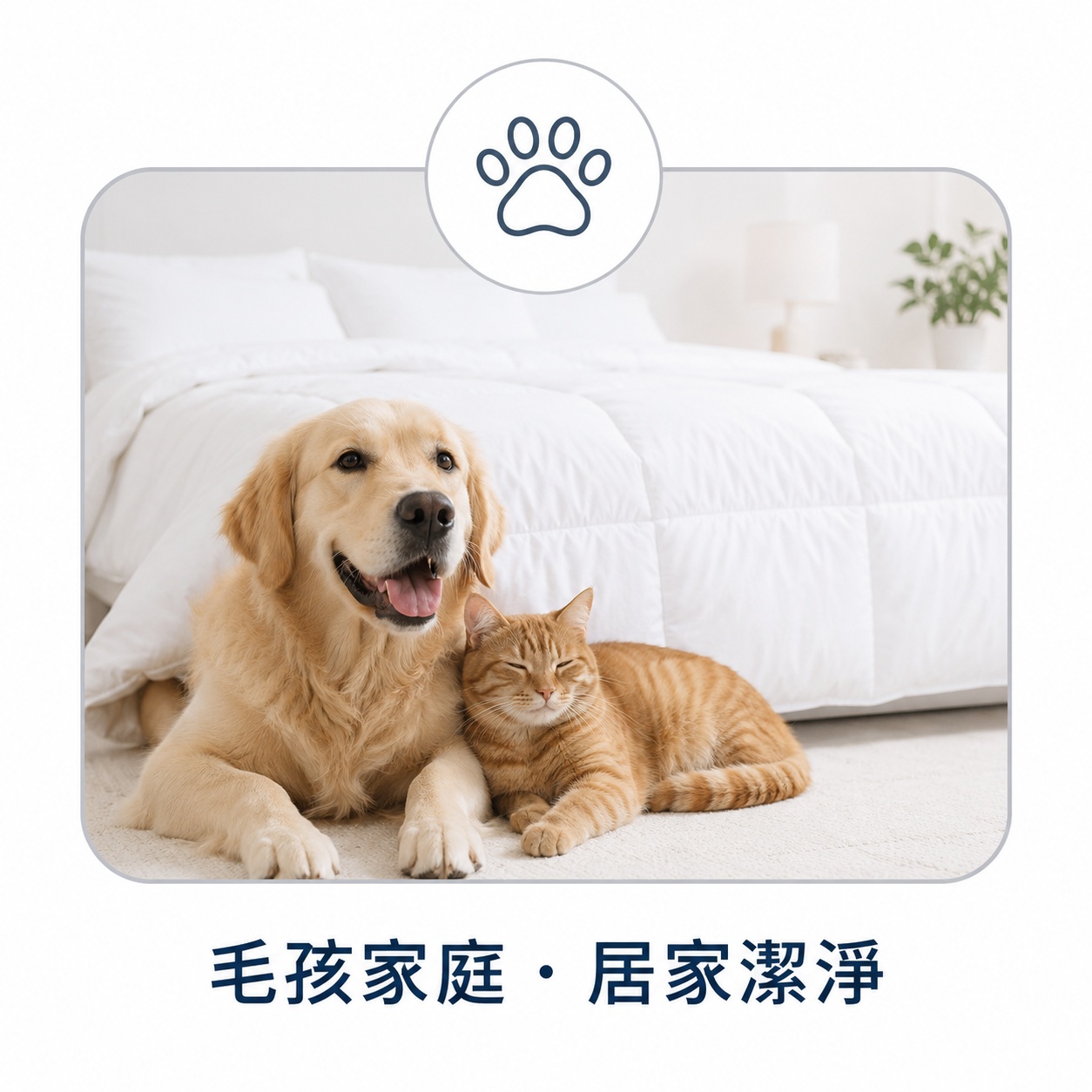 毛孩家庭使用防蟎棉被套降低毛髮皮屑與灰塵直接進入被胎