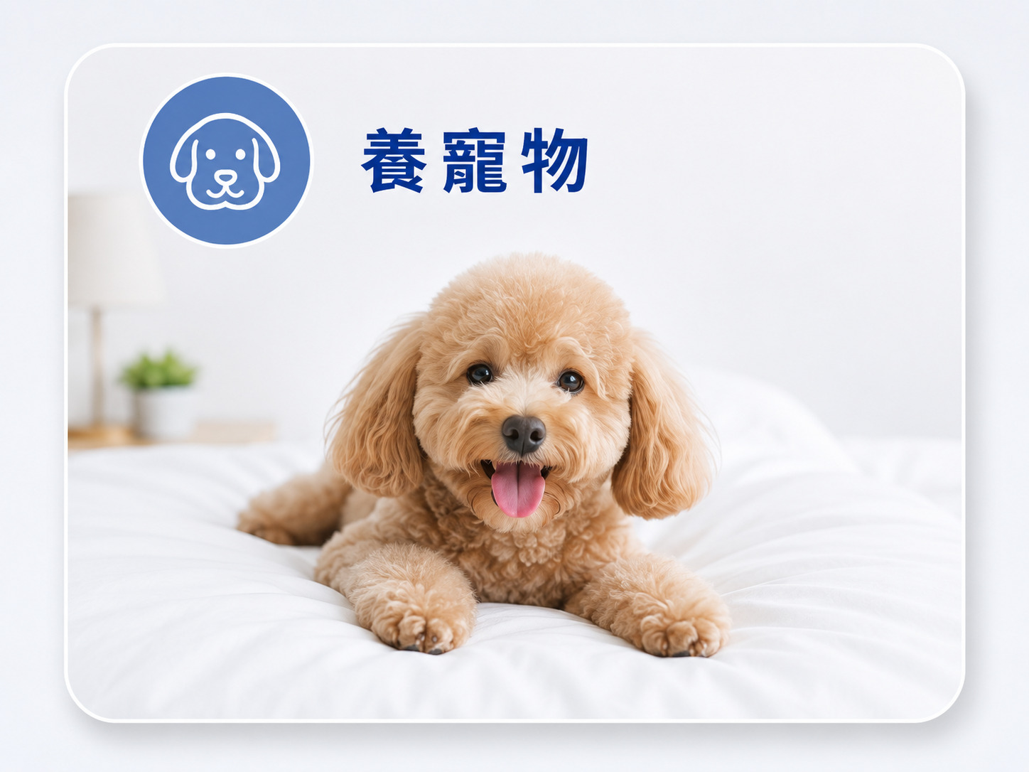 養寵物家庭使用Fotex防蟎枕頭套，減少毛髮、皮屑與髒污接觸枕芯